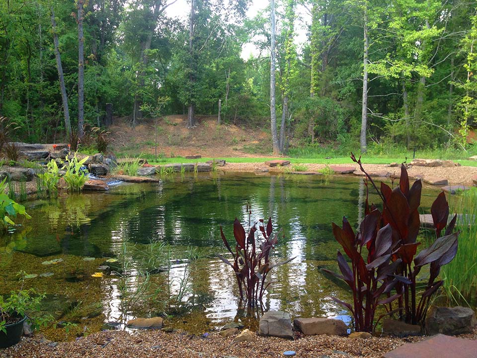 natural-swimming-pond-960x720-1