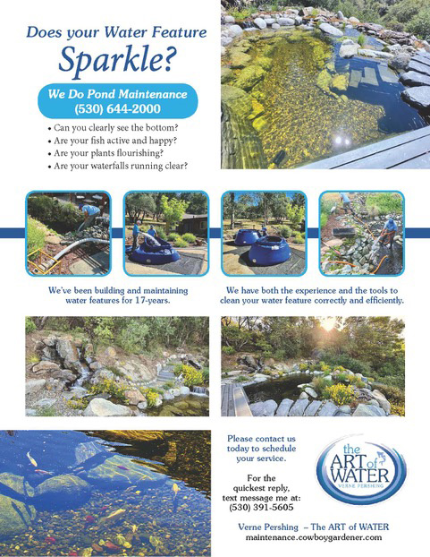 Art-of-Water---clean-water