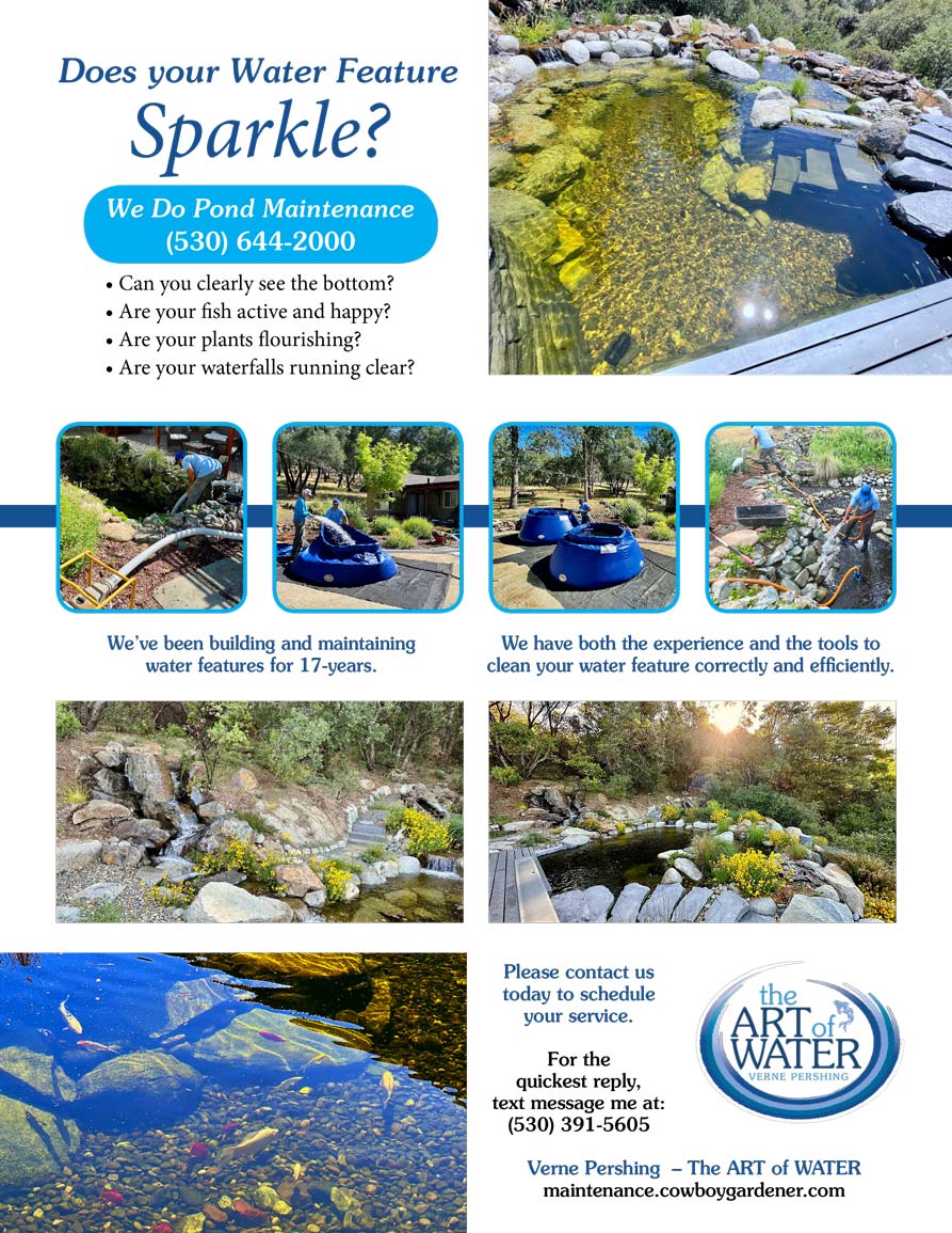 Copy-of-Pond-Cleaning