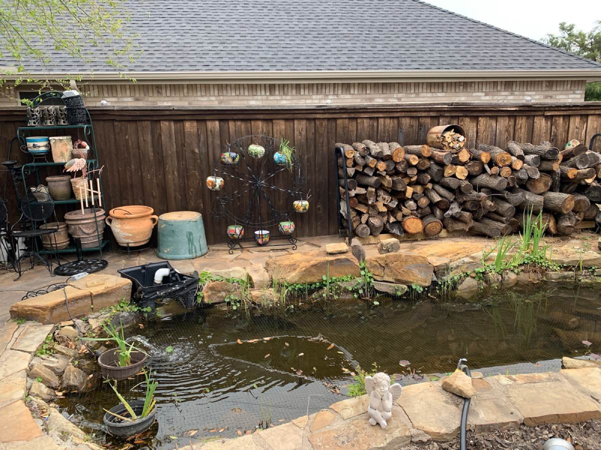 pond side view rowlett (2)
